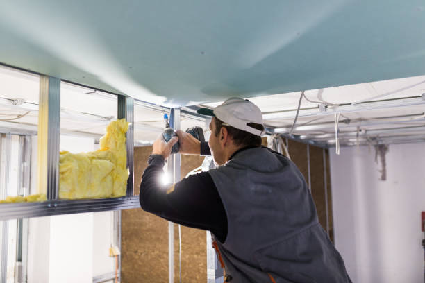Types of Insulation We Offer in Lake Tapps, WA