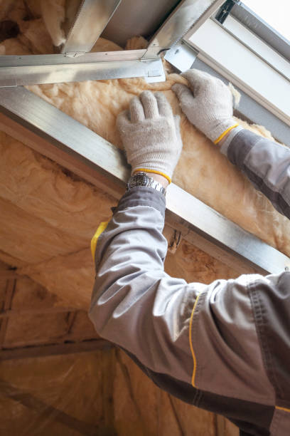 Types of Insulation We Offer in Lake Tapps, WA